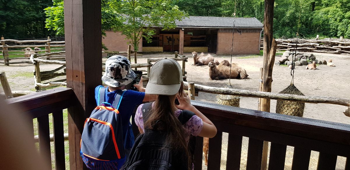 Zdjęcie: Wycieczka do ZOO w Eberswalde